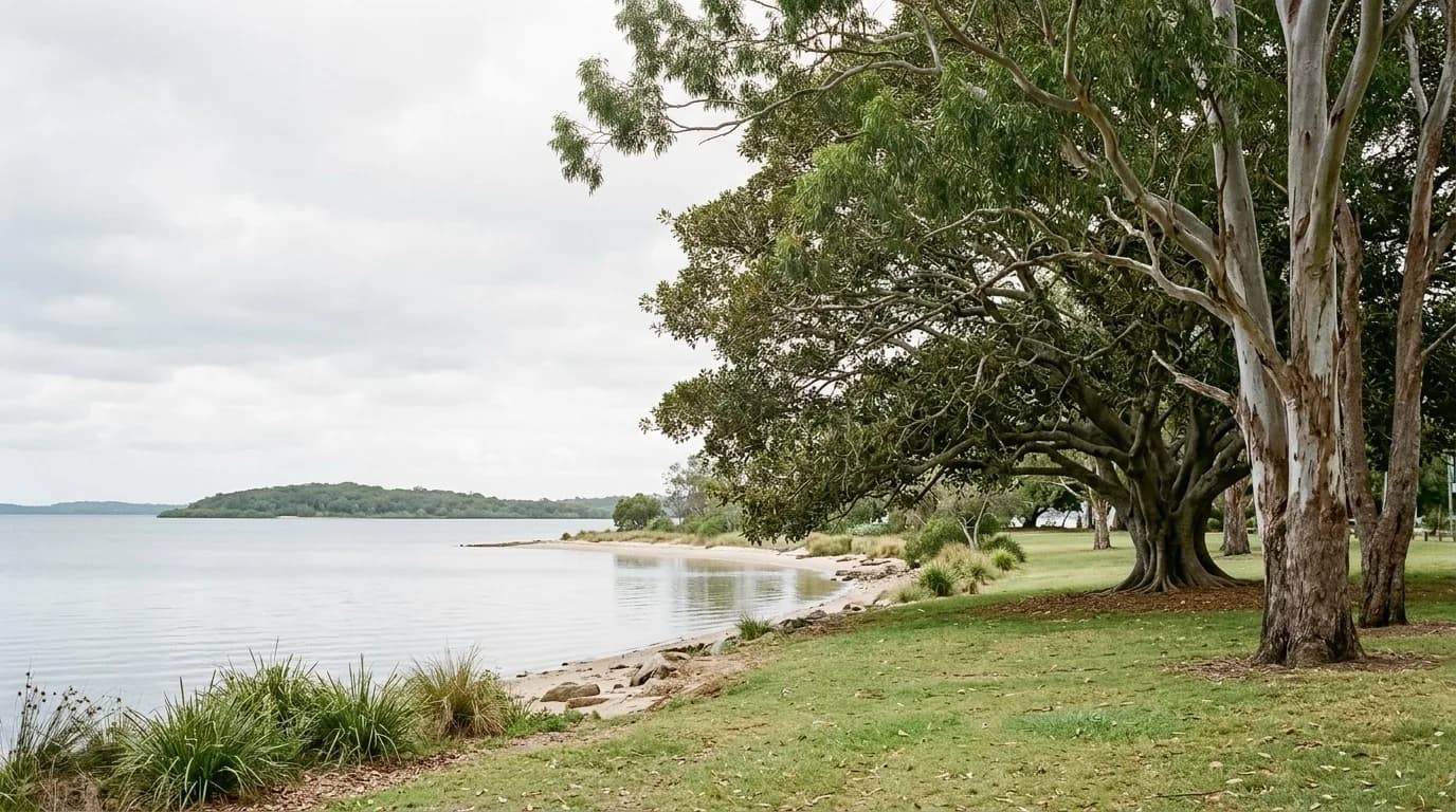 A bayside foreshore reserve with large mature fig and eucalypt trees over mown grass, calm sheltered bay water and a low island beyond