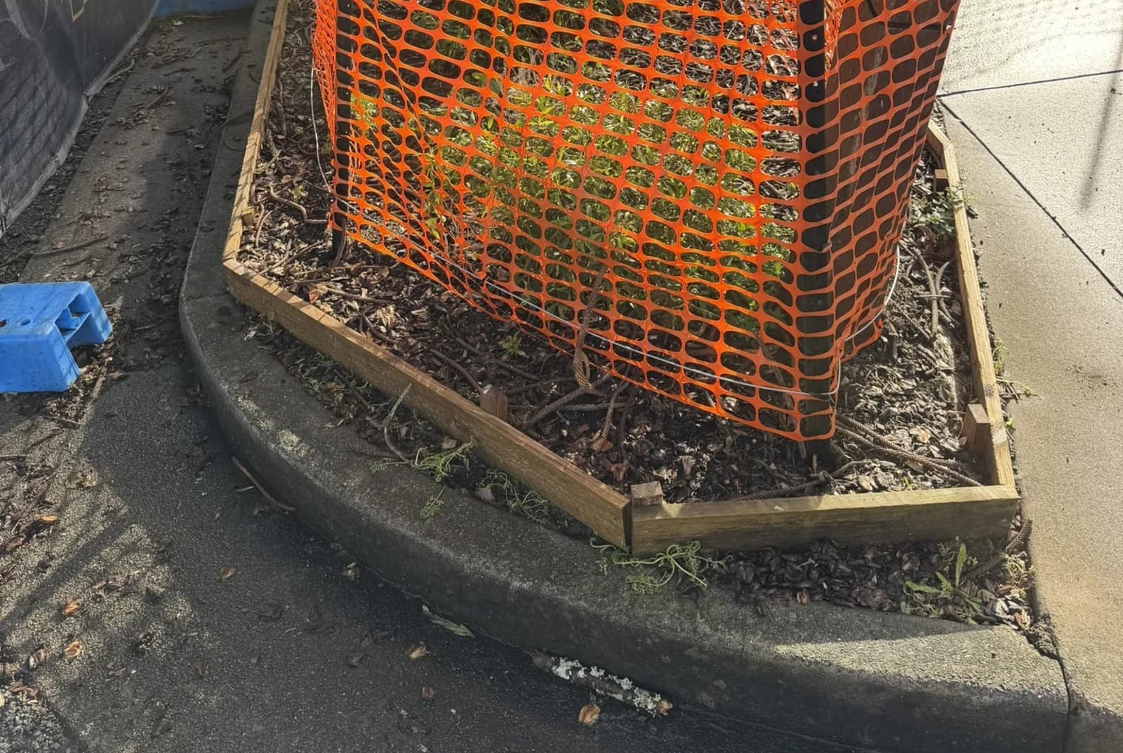 Orange protection fencing ringing the base of a retained street tree in a kerbside garden bed on a construction site