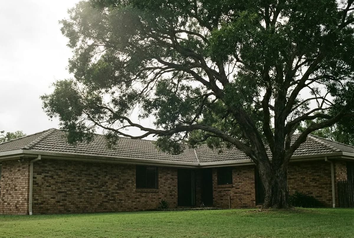 A large mature tree with heavy limbs extending across the roofline of a single-storey house, seen from the rear yard