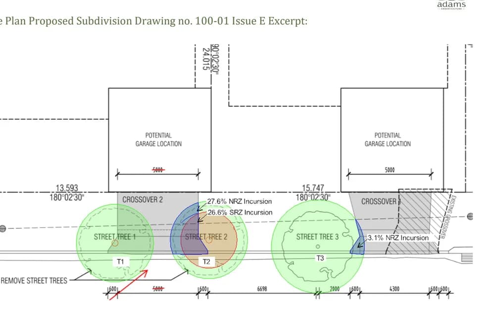 An excerpt from a tree protection drawing showing root zones drawn over street trees on a proposed subdivision layout
