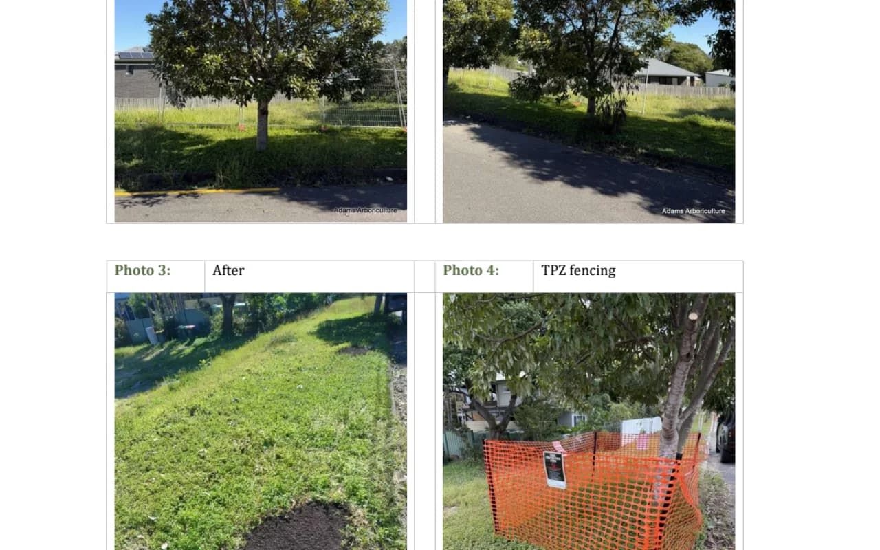 A page from a completed arborist report, site photographs laid out beside the written record of the works