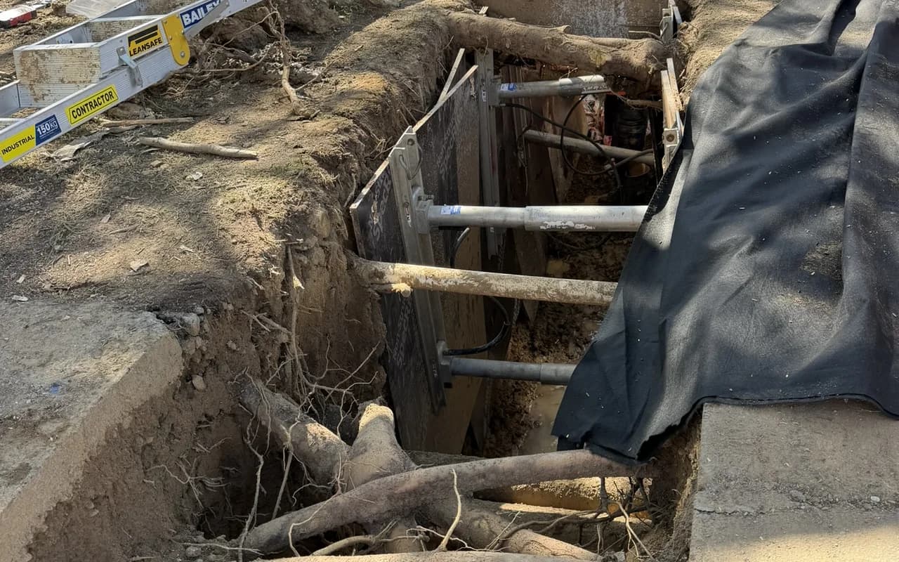 An open trench with structural roots left intact and bridged across the cut, the excavation shored and propped around them