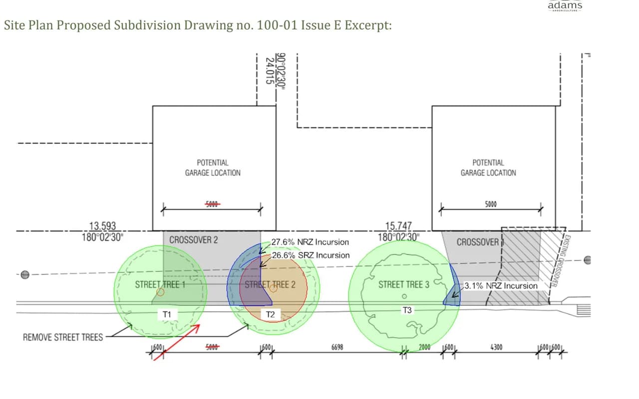 An excerpt from a tree protection drawing showing notional and structural root zones over three street trees, with the incursion percentage noted against each
