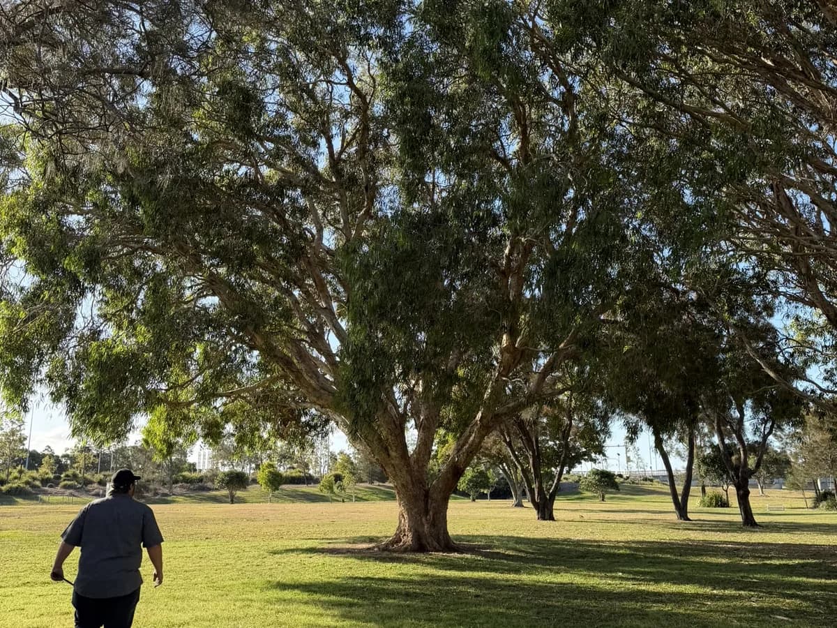 Adam De Regt walking an open site toward a large mature tree before any works have started