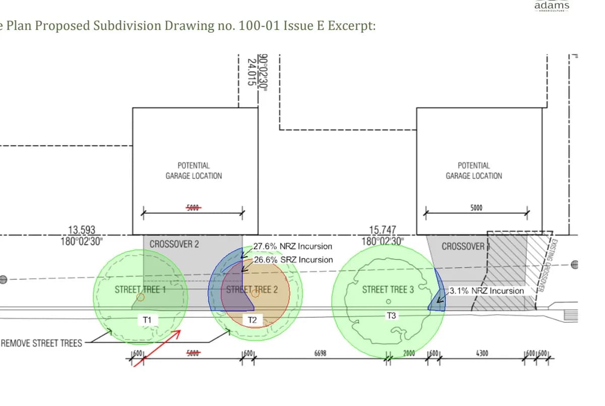 An excerpt from a tree protection drawing showing root zones over street trees against a proposed subdivision layout, the encroachment percentages noted against each tree